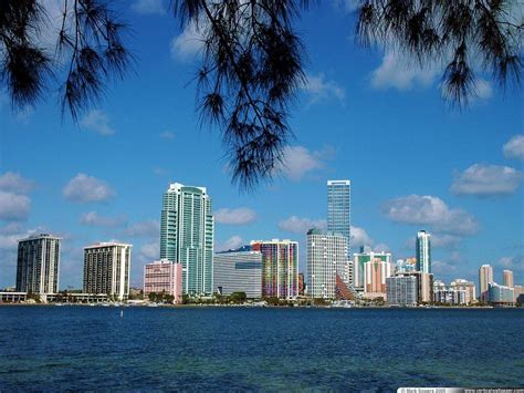 Miami Skyline Wallpapers Wallpaper Cave