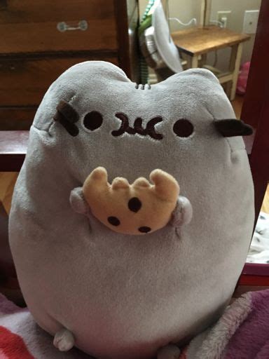 Pusheen In Real Life Pusheen The Cat Amino Amino