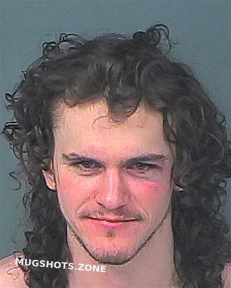 Taylor Jayden 02 17 2024 Hernando County Mugshots Zone