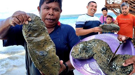 Mengolah Teripang Raksasa Ikan Buntal Buat Makan Siang Bersama