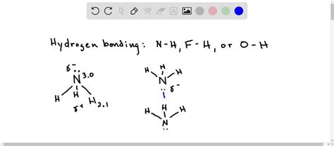 Solved 67 Depict The Hydrogen Bonding Between Two Ammonia Molecules And Between One Ammonia