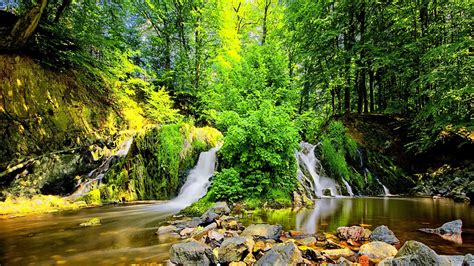 Cascata Full Hd Papel De Parede And Planos De Fundo 1920x1080 Id568850