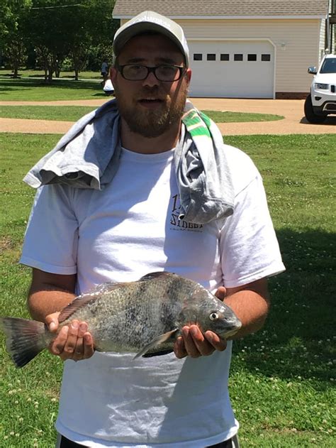 Sw Good Eating Black Drum Caught On Shrimp Near Structure In The