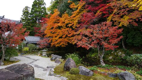 Kyoto Garden Fall Colors : r/japanpics