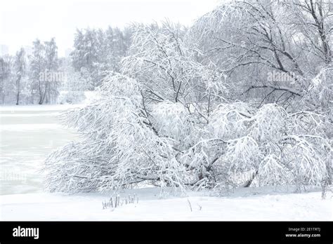 Winter landscape background, Russia. Scenic view of snowy Moskva River ...