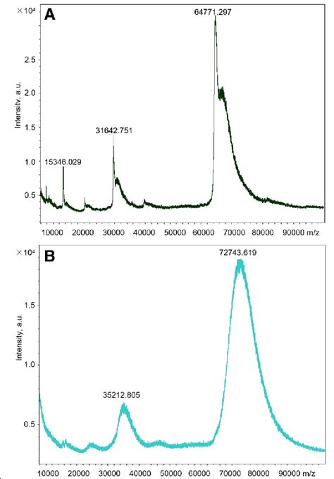 Maldi Tof Analysis Of Bsa A And Colistin Bsa Conjugate B Download