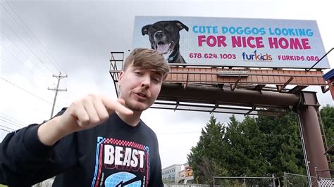 MrBeast Helps Every Dog In Georgia Shelter Get Adopted | RTM ...