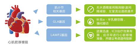 诺心安®心源性猝死基因检测百世诺北京医疗科技有限公司百世诺北京医疗科技有限公司