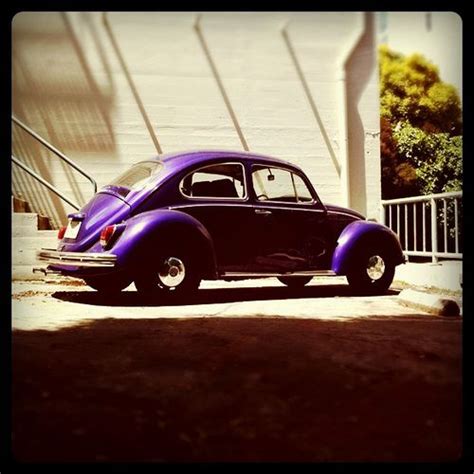 Punch Buggy Purple Purple Red Punch Buggy