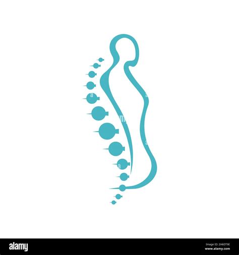 Creative Chiropractic Vector Image Chiropractic Logo Vector Spine