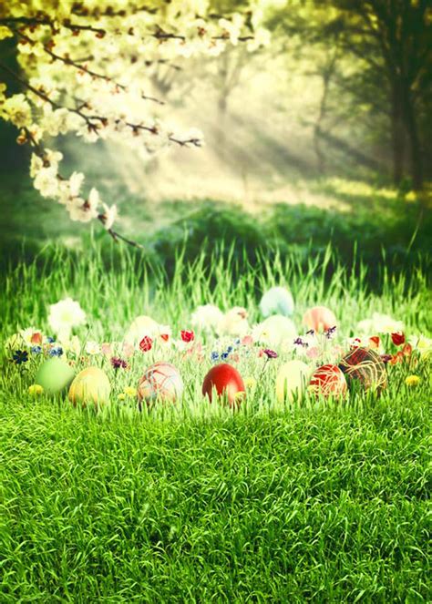 happy easter photo backdrops spring photography vinyl backdrops easter ...