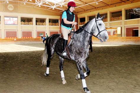 Mirim Horse Riding Club | Explore DPRK