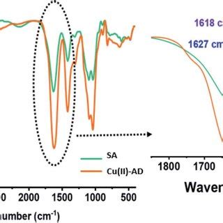 Ftir Spectra Of Sodium Alginate Sa And Dried Cu Ii Alginate Beads