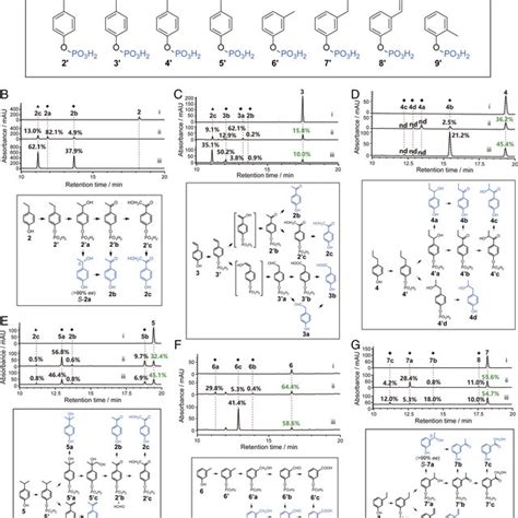 Alkylphenol structures. (A) Representative alkylphenols 1–10. (B) The ...