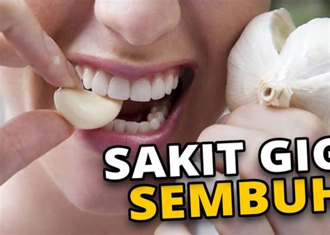 Obat Sakit Gigi Alami Yang Dapat Meredakan Sakit Gigi Dengan Cepat