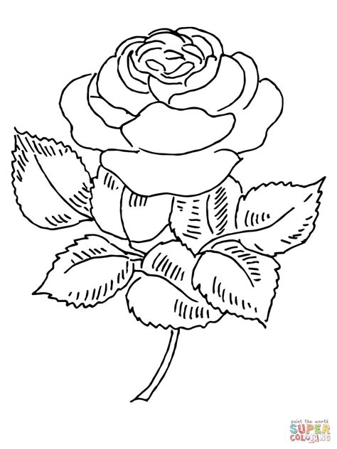 Free Printable Coloring Pages For Seniors With Dementia Printable