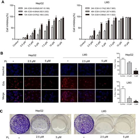 Plumbagin Inhibits Proliferation And Induces Apoptosis Of Hepatocellul