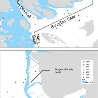 (PDF) Identifying subtidal burying habitat of Pacific sand lance ...