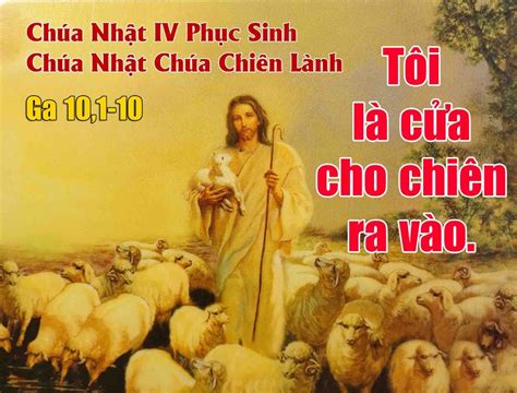 Chúa nhật 30 04 2023 Chúa nhật 4 Phục sinh Mục tử nhân lành Giáo