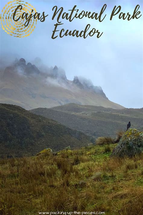 Discover Cajas National Park An Easy Day Trip From Cuenca Ecuador