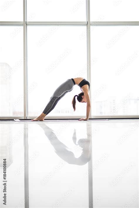 Young Attractive Woman Practicing Yoga Stretching In Elbow Bridge