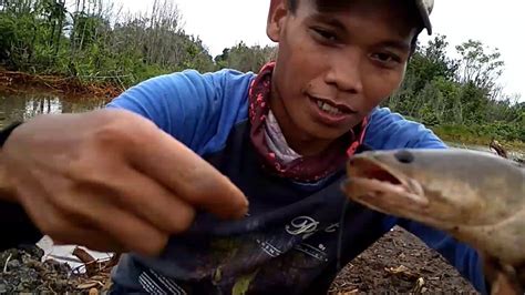 Percaya Atau Tidak Mancing Pakai Umpan Bawang Putih Dan Ulat Lihat