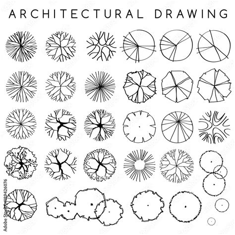 Set of Architectural Hand Drawn Trees : Vector Illustration Stock ...