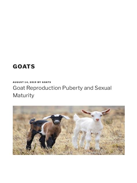 Goat Reproduction Puberty and Sexual Maturity - Goats | PDF ...