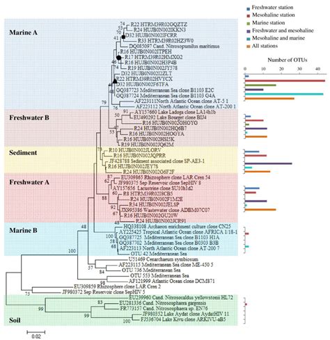 Phylogenetic Tree Including Active Thaumarchaeota Mgi Otus Retrieved In