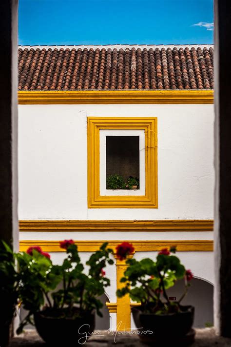 Viaja Más - ¡Yo se donde fue! Yo se de donde salio el logo de National