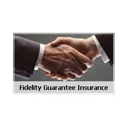 Fedelity Insurance Services at best price in New Delhi | ID: 2359556833