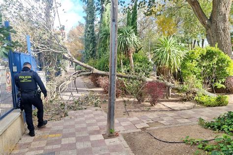 La Polic A Local De Tomelloso Lleva A Cabo Medio Centenar De