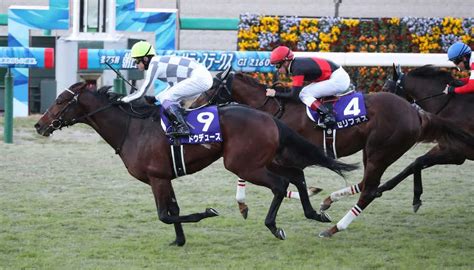 ＜阪神競馬11r＞セリフォス（4番）に半馬身差をつけ朝日杯fsを制したドウデュース（9番）（撮影・奥 調） ― スポニチ Sponichi