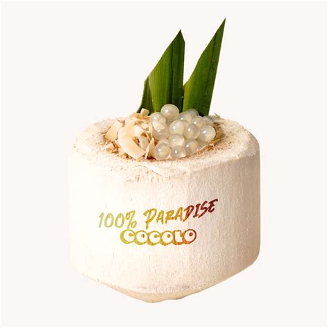 plant based vegan friendly coconut love cocolo