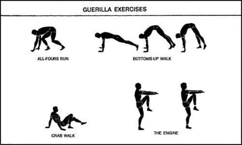 Muscular Strength Exercises Examples