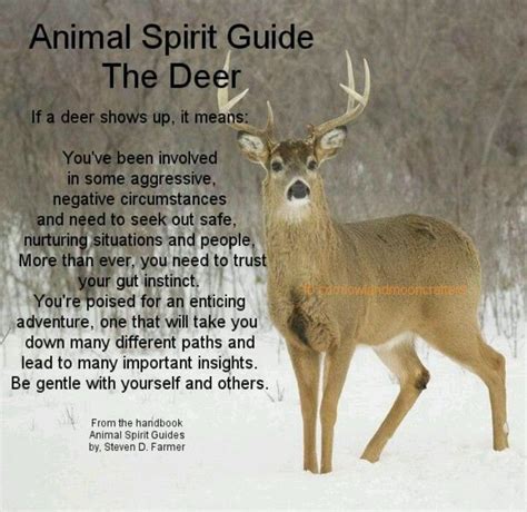 Quotes About Animal Deer. QuotesGram