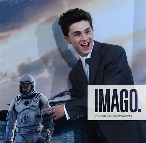 Chalamet Interstellar Fotos | IMAGO