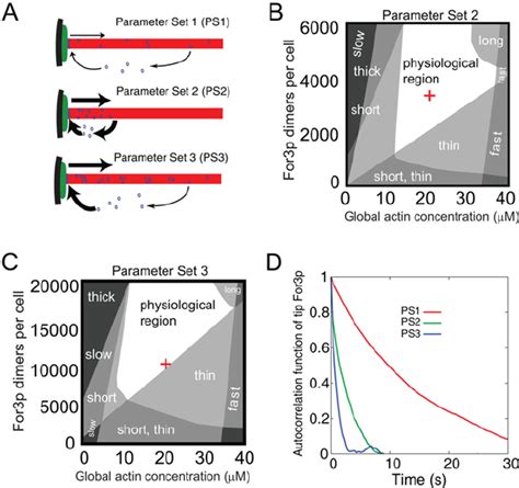 Results For Parameter Sets 2 And 3 A Schematic Of Ps1 Ps2 Ps3