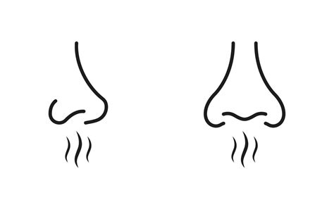 Human Nose Smells Linear Symbol Collection. Nasal Odor Sniff Pictogram ...