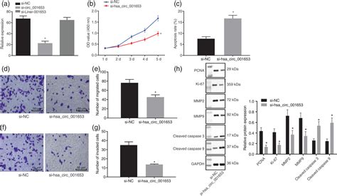 Hsa Circ Upregulates Nr A Expression And Elicits Gastric