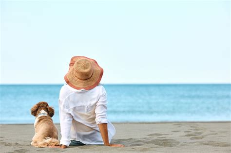 Spiagge Per Cani Nel Salento Una Guida Completa Alle Destinazioni E