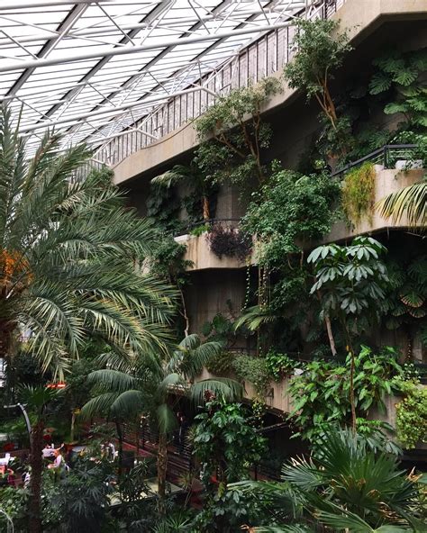 Barbican Conservatory: London's Beautiful Indoor Rainforest