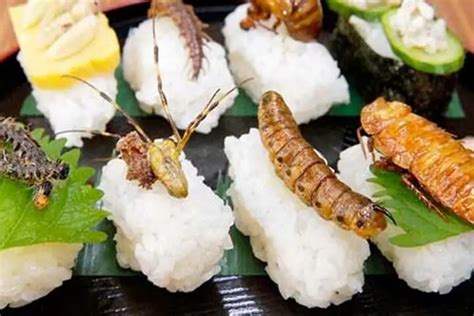 10 Edible Insects To Eat If You Run Out Of Food | Urban Survival Site