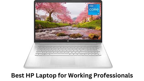 The Best HP Laptop for working Professional - Solving Dad