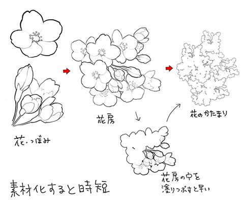 リアル 描き 方 桜の 木 イラスト