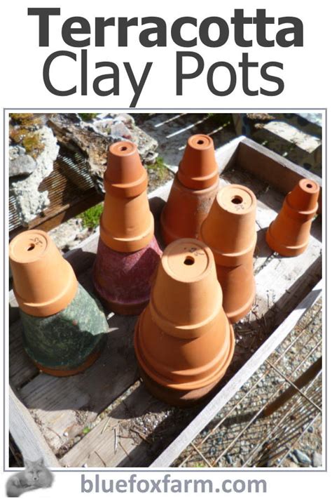 Terracotta Clay Pots - old fashioned, yet new again