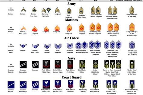 United States Army Enlisted Rank Insignia