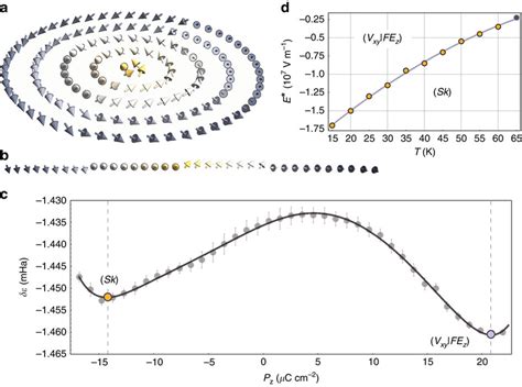 Stability Of The Skyrmionic State A Polarization Field Configuration