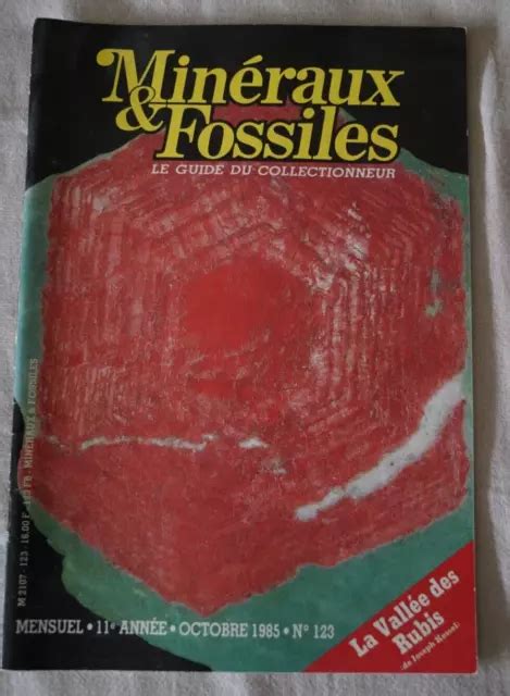 REVUE MINERAUX FOSSILES N123 D Octobre 1985 EUR 3 00 PicClick FR