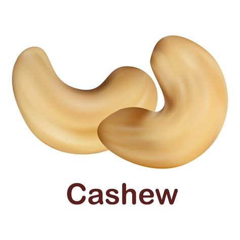 Premium Vector Cashew Icon Realistic Illustration Of Cashew Vector